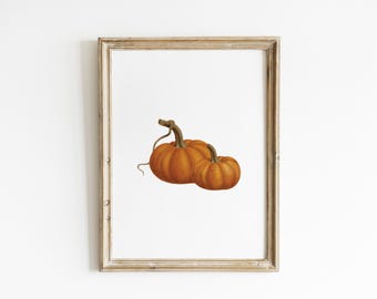 May include: A framed print featuring two orange pumpkins with green stems. The pumpkins are set against a white background, and the frame has a light brown, rustic finish. The artwork evokes a fall or harvest theme.