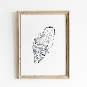 Owl Sketch art print bird lover gift black and white wall art minimalist owl art print Printed and shipped on high archival paper FB5-A1