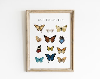Butterfly Nursery Wall Art Vintage Insect Print Woodland Nursery Nature Illustration Botanical Cottagecore Art Neutral Baby Room BUF1-A1