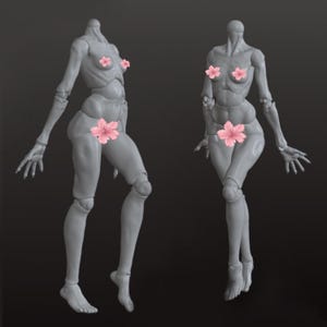 May include: Two grey articulated ball-jointed figures shown from different angles. Each figure features a smooth, matte finish with visible joints at the shoulders, elbows, wrists, hips, knees, and ankles. Pink cherry blossom graphics cover the chest and pelvic areas.
