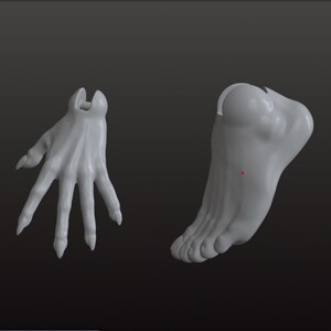 May include: A light gray 3D digital model of a stylized hand with elongated, pointed fingers and a matching foot with defined toes. Both components feature a smooth, matte surface and a circular joint socket at the wrist and ankle respectively.