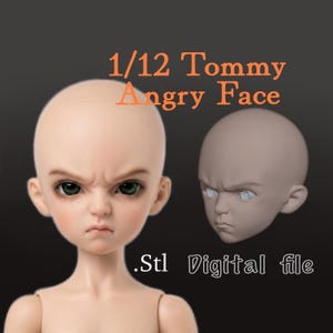 May include: A 1/12 scale Tommy doll head with an angry facial expression, featuring painted green eyes and a smooth, light-toned surface. The image includes the text 1/12 Tommy Angry Face and .Stl Digital file, showing a rendered version.