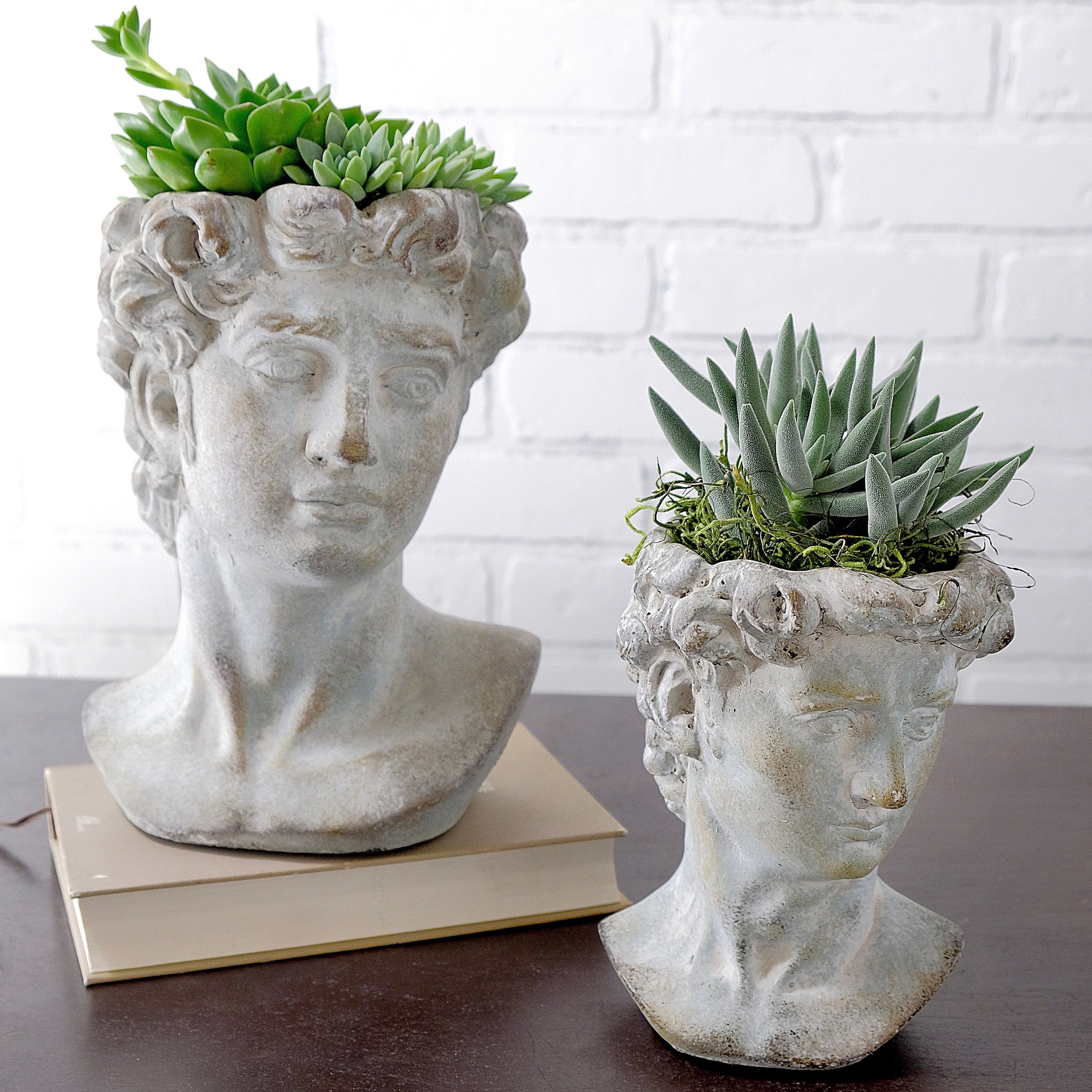 Greek God Head Planter Concrete Head Planter Bust Planter Etsy UK