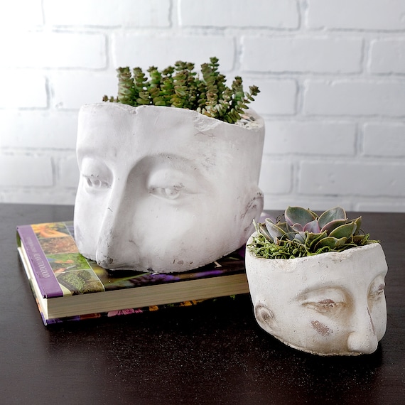 Wig Head Plant Holder  Head planters, Decorated flower pots, Styrofoam head