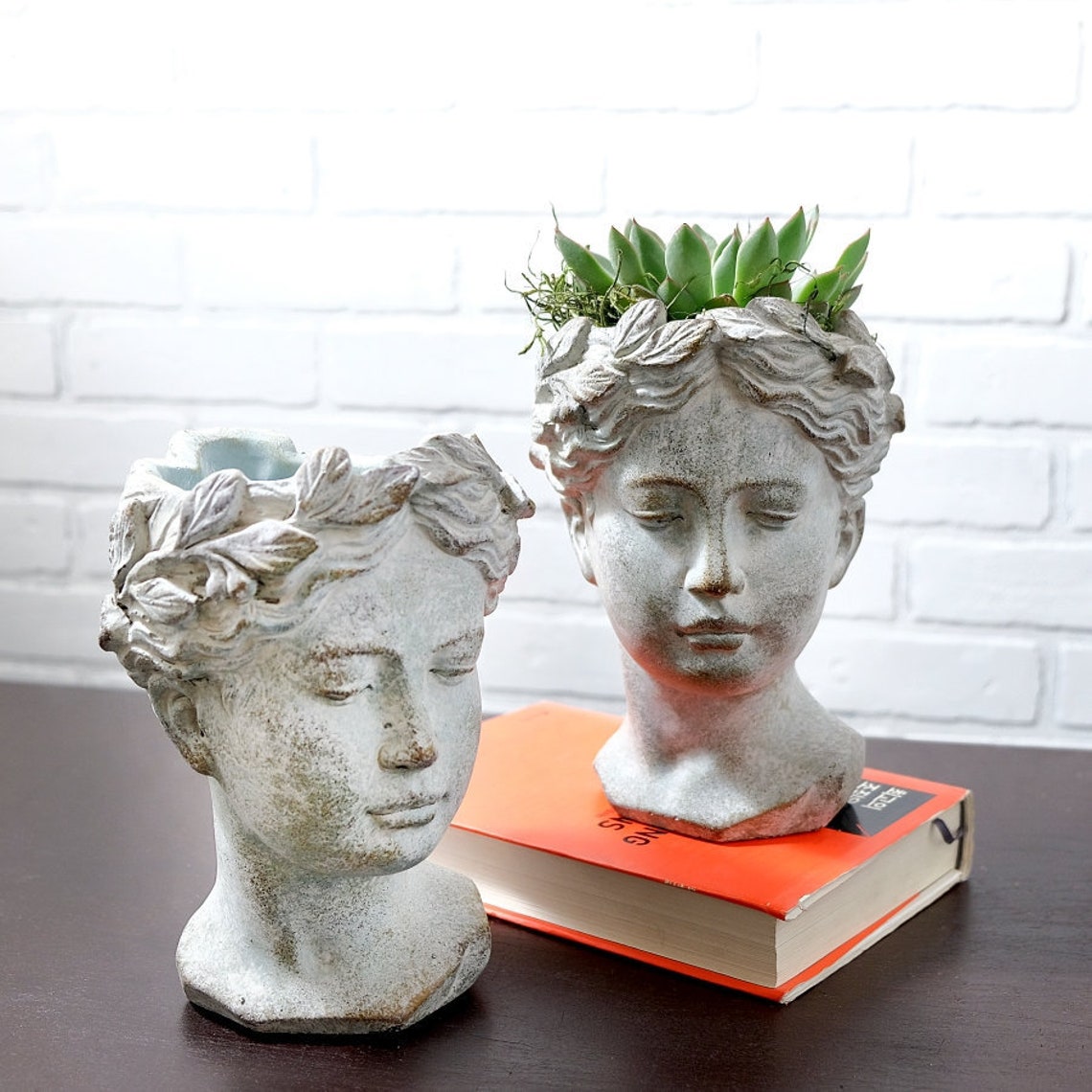 Greek Goddess Head Planter Concrete Pot With Succulent DIY Kit Etsy