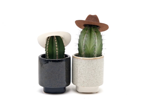 druiven Bezet Vegetatie Cowboy Cacti: Live Cactus Potted in Ceramic Pot - Etsy