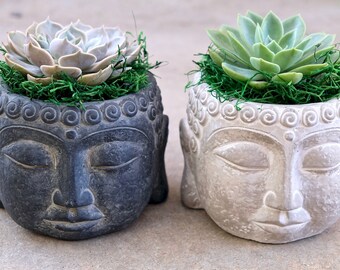 Cabilock Ceramic Flowerpot Succulent Container Buddha Head Portrait Sculpture Art Plant Flower Pot Face Vase Outdoor Potted Planting Container for Home Garden Cabilock Ceramic Flowerpot Succulent Container Buddha Head Portrait Sculpture Art Plant Flower Pot Face Vase Outdoor Potted Planting Container for Home Garden