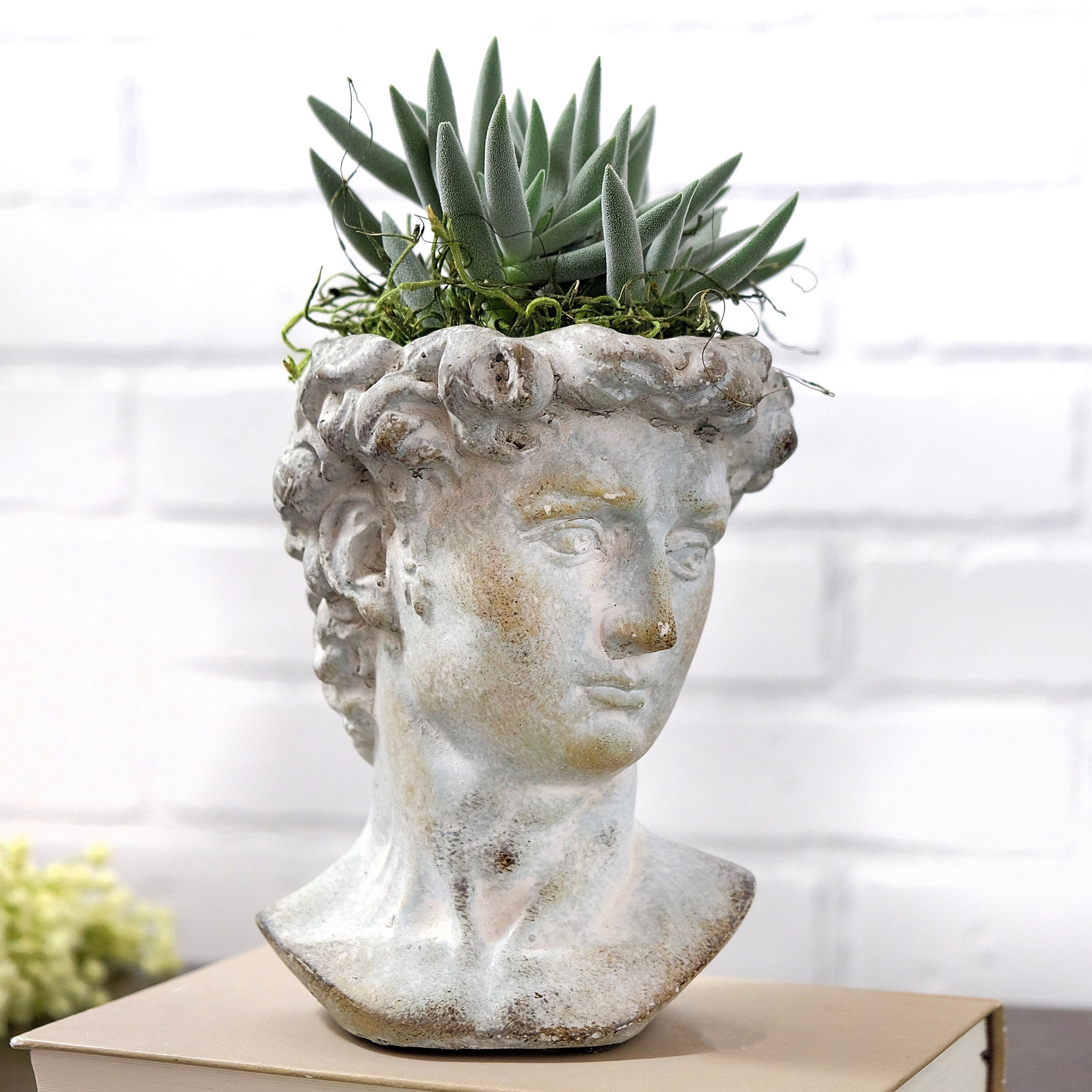 Greek God Head Planter Concrete Head Planter Bust Planter Etsy UK