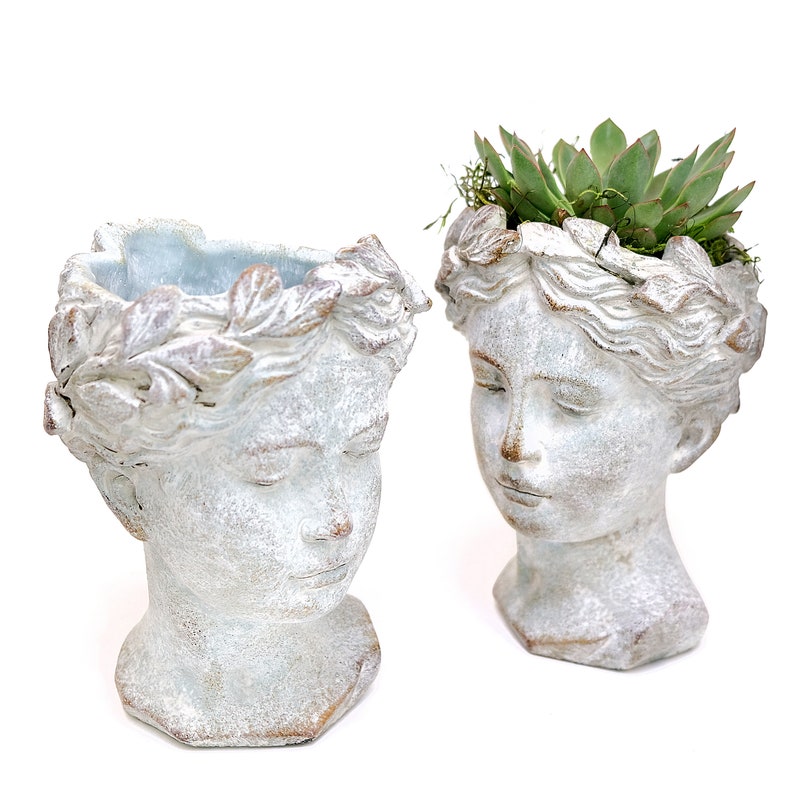 Greek Goddess Head Planter Concrete Pot With Succulent DIY Kit Etsy