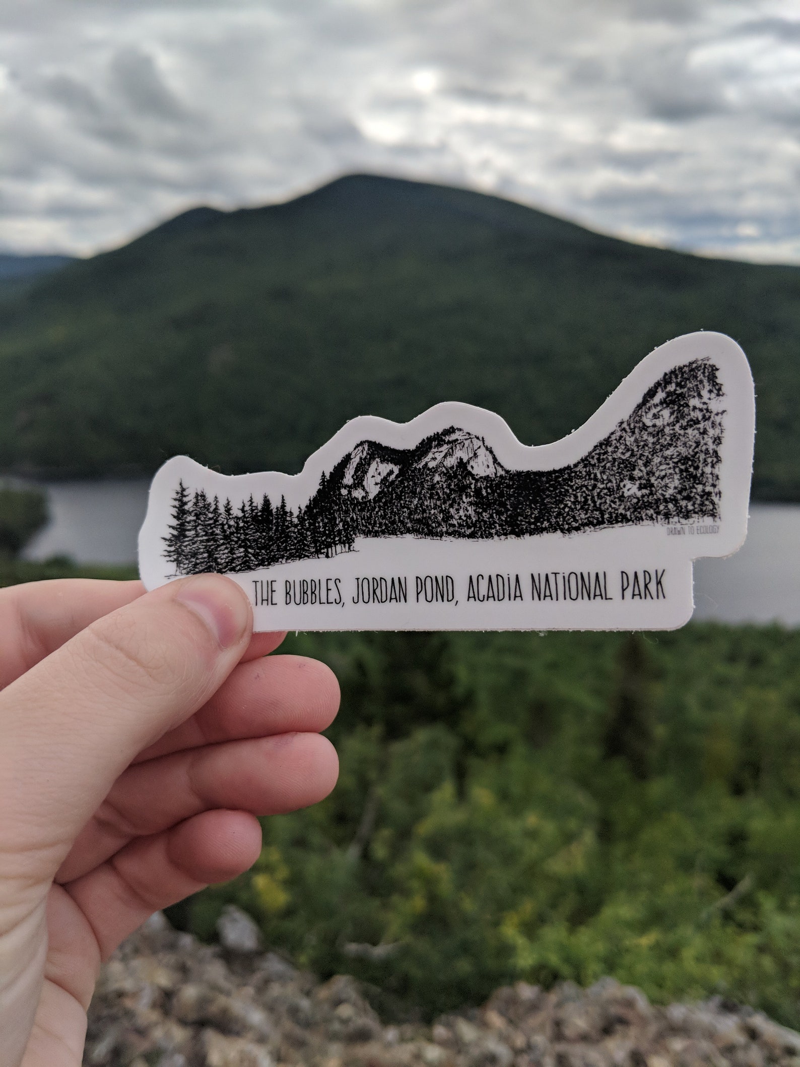 Acadia National Park – Travels With Vinny VanGo