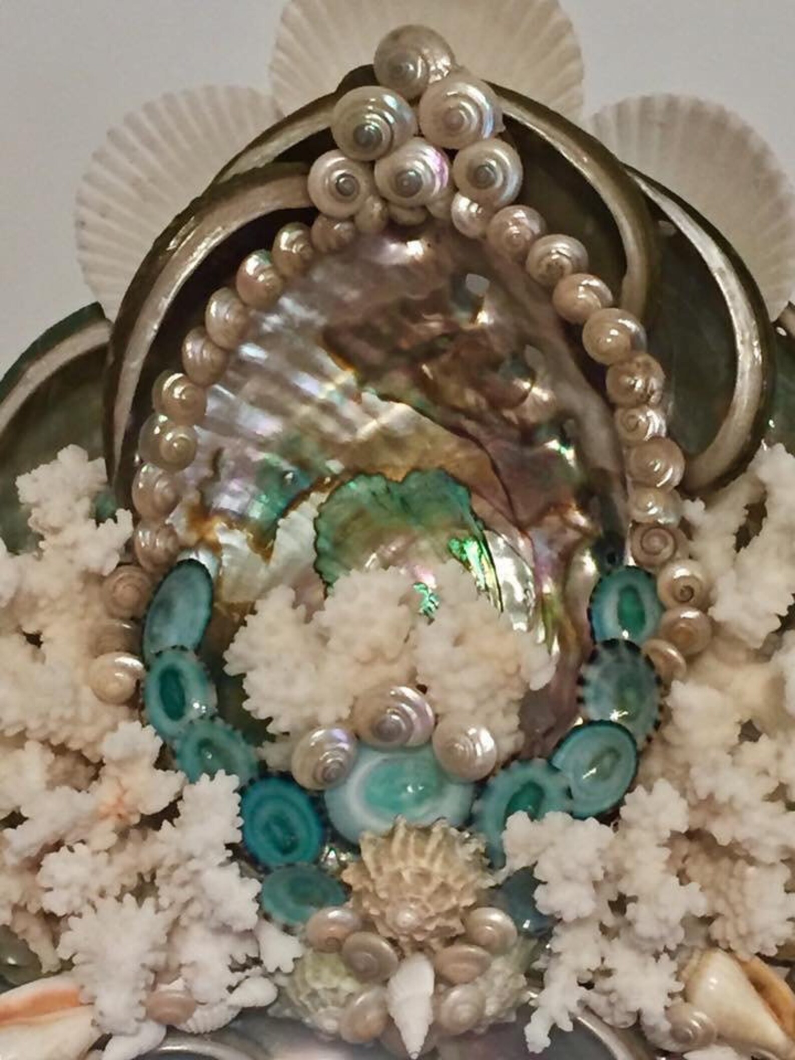 Pearlized Umbonium Shells 1/4-1/2 Inch Bulk Price With Free | Etsy