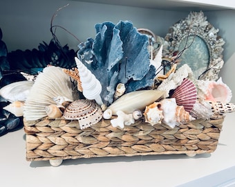 Beachwalk Seashell Treasure Basket for home, coastal decor, wedding, gift, display, gift, Mother’s Day and centerpiece.