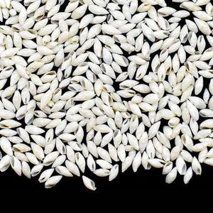 May include: A close-up shot of numerous small, white, oval-shaped seashells scattered against a black background. The shells have a smooth, glossy texture and are densely packed together, creating a textured pattern.