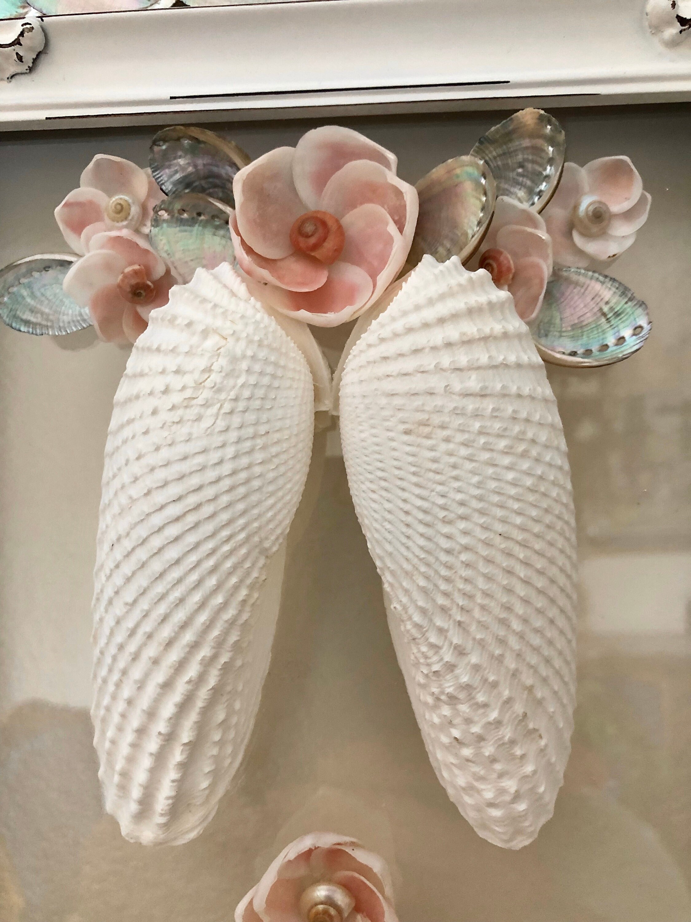 ホワイトエンジェルウィング貝殻マッチングセット。工芸品、ホーム