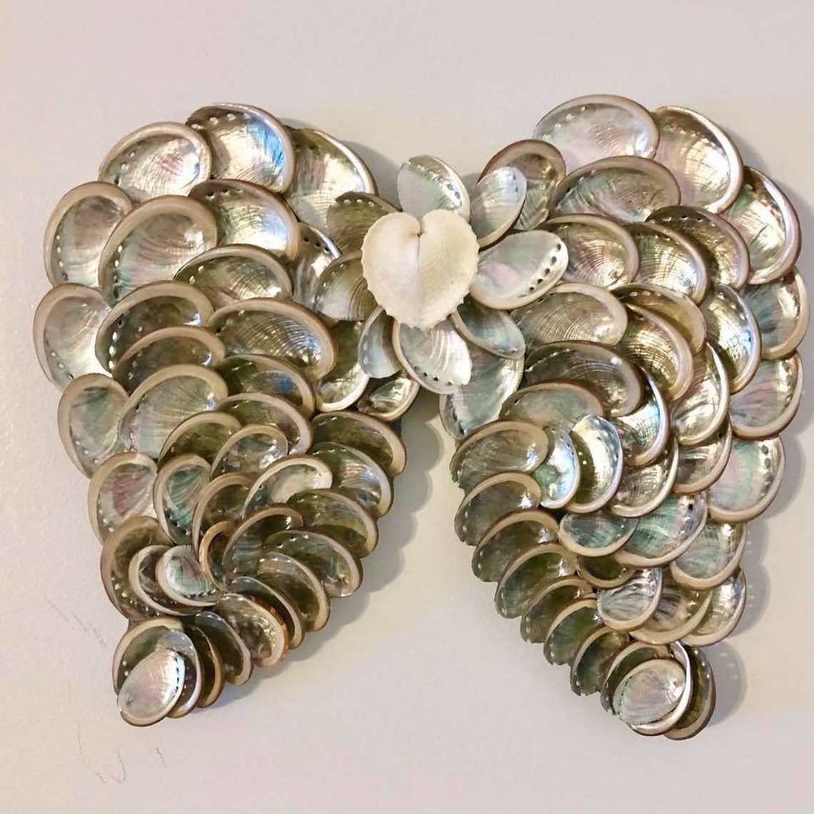 Oval abalone sea shells for crafts beach decor gift Etsy