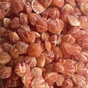 Puede incluir: Primer plano de un montón de pequeñas conchas rojas y blancas. Las conchas son todas en forma de corazón y tienen una textura natural y orgánica.