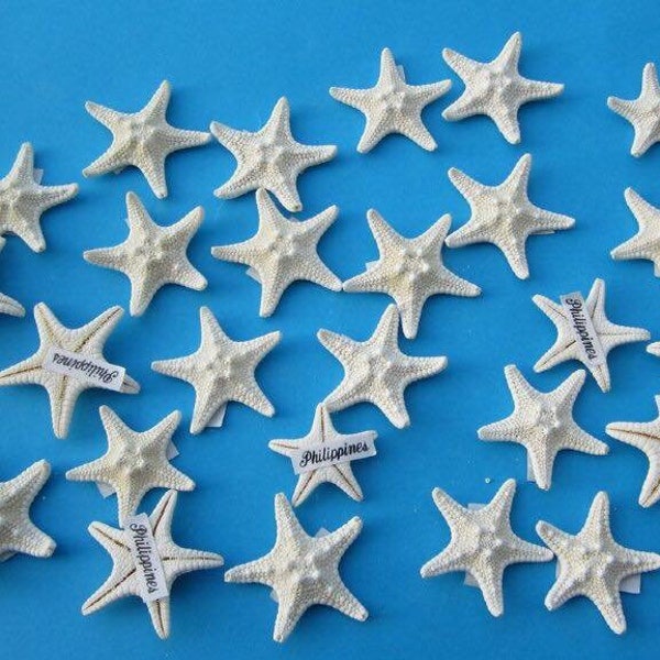 FREE SHIPPING!  10 Knobby starfish, slightly off white, 1.5-2 inches, for crafts, weddings, shell art, sailors valentines, home decor, favor