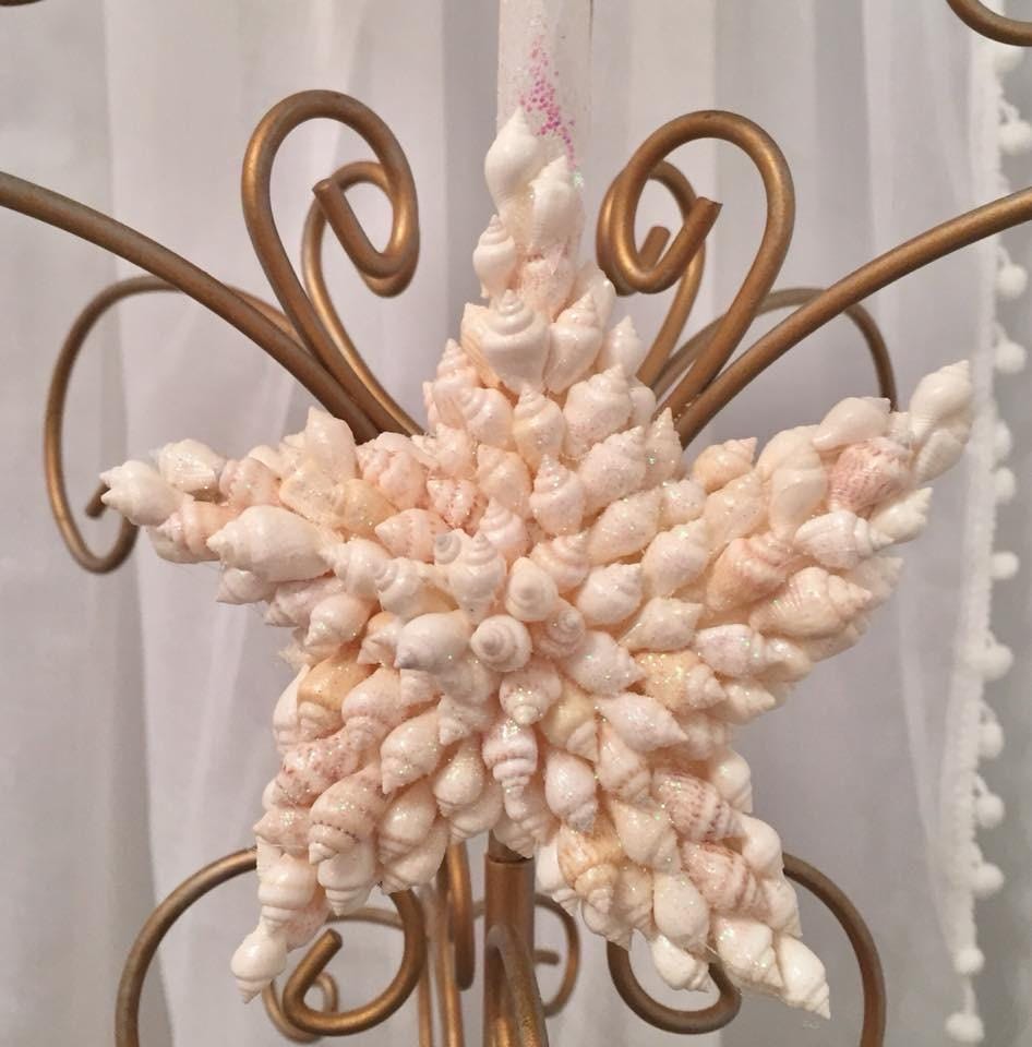 Japanese Star Shell (guildfordia Yoka) With Operculum for Crafts