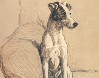 Cecil Aldin Dog Print - Vintage Fox Terrier Reproduction Poster, A Dozen Dogs Animal Wall Art Home Decor Canine