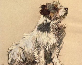 Cecil Aldin Dog Print - Vintage Jack Russell Reproduction Dog Poster,  A Dozen Dogs Animal Wall Art Home Decor Canine