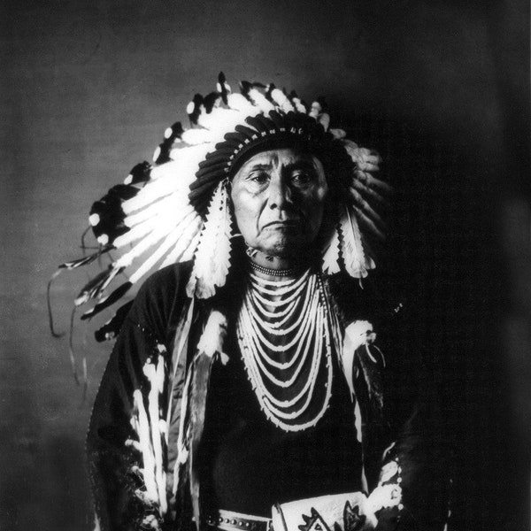 Chief Joseph, Native American Indian Print, Wall Art - Indigenous Americans 10x8 Photo Native Indian