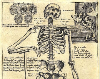 Vintage Skeleton Leaning On a Spade - Diagram Art Print,  Vintage Art Poster - Anatomical Print - A3 A4 - Home Decor