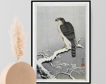 Hawk on Branch - Vintage Japanese Art Print,  Ohara Koson - Poster, Traditional Japanese Wall Art, Home Decor A4