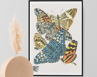 Vintage Antique Repro Butterfly Art Print, Papillons - E.A. Seguy Wall Art Biology Poster Natural History Print Home Decor No.4