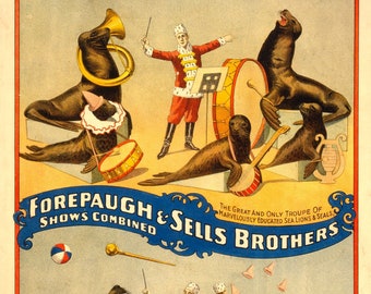 Vintage Circus Poster Print, Retro Circus Advert Performing Sea Lions & Seals - Wall Art Lounge, Home Decor A3 A4