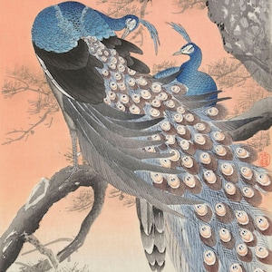 Two Peacocks on Tree Branch Japanese Wall Art Painting Print Poster Vintage Ohara Koson Japan Home Decor A3 A4 A5