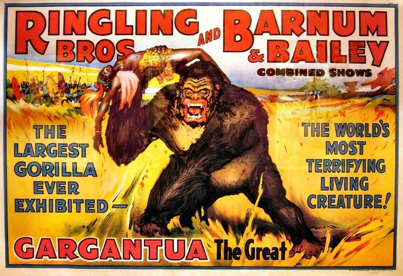 Vintage Circus Barnum & Bailey Large Gorilla Poster, Retro Circus