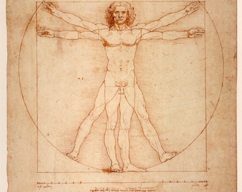 Leonardo Da Vinci, Vitruvian Man - Vintage Anatomical Reproduction Poster Wall Art Print Home Decor A3 A4