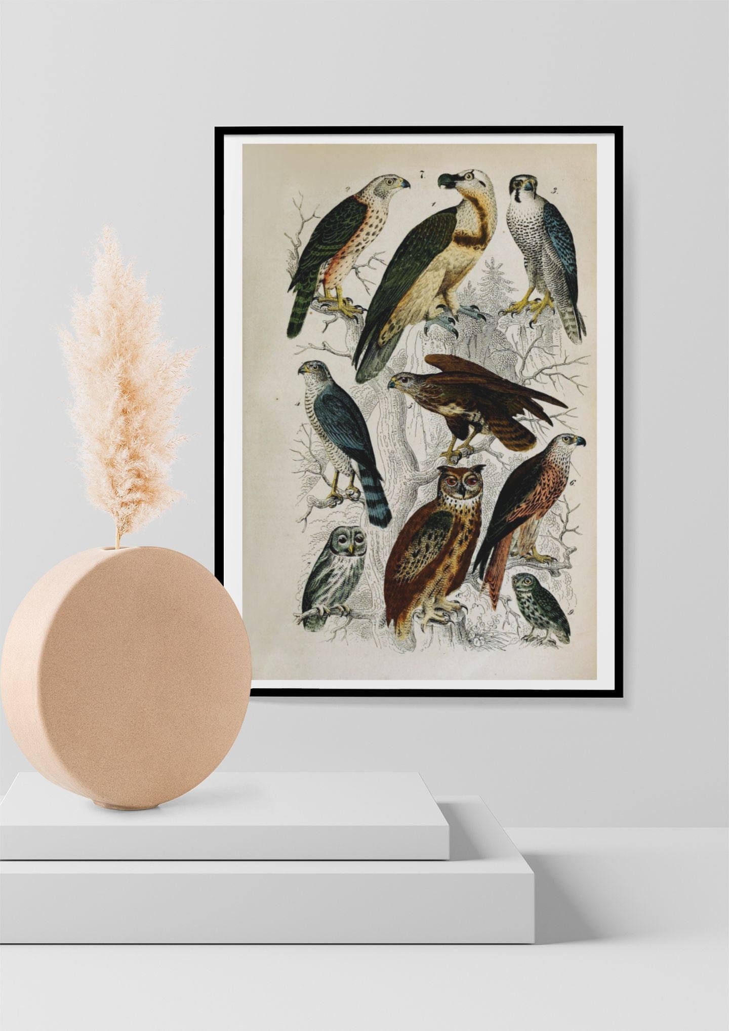 Eagle Owl, Osprey Vintage Birds of Prey Print Colourful Bird Print Poster 19th Century Wall Art Deco