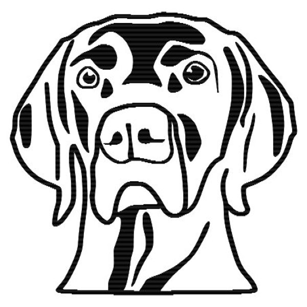 Weimaraner Silhouette in Vector formats for cutting and filling, from actual Weimaraner photo. Not a tangible item, digital download.