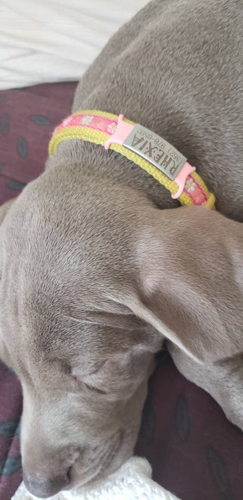 Stealthy Silicone Hunting Dog ID Tag for Collar Lays Flat Etsy