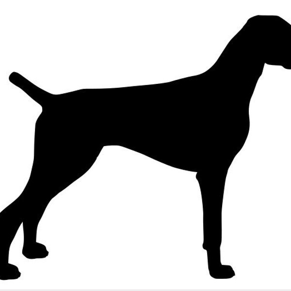 Weimaraner Silhouette in Vector formats for cutting and filling, from actual Weimaraner photo. Not a tangible item, digital download.