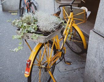 Vintage Bicycle Print /  Bicycle Wall Art / Vintage Bike Photograph /  Color Bicycle Print / European Cityscape