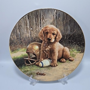 Wide Retriever von Jim Lamb, Sammlerteller. Gute Sportteller Sammlung
