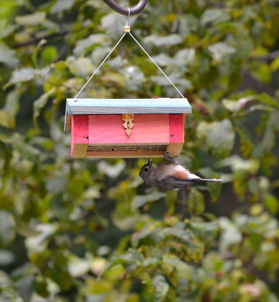 Fightin Chance Upside Down Suet Feeder Etsy