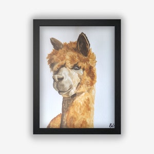 Alpaca