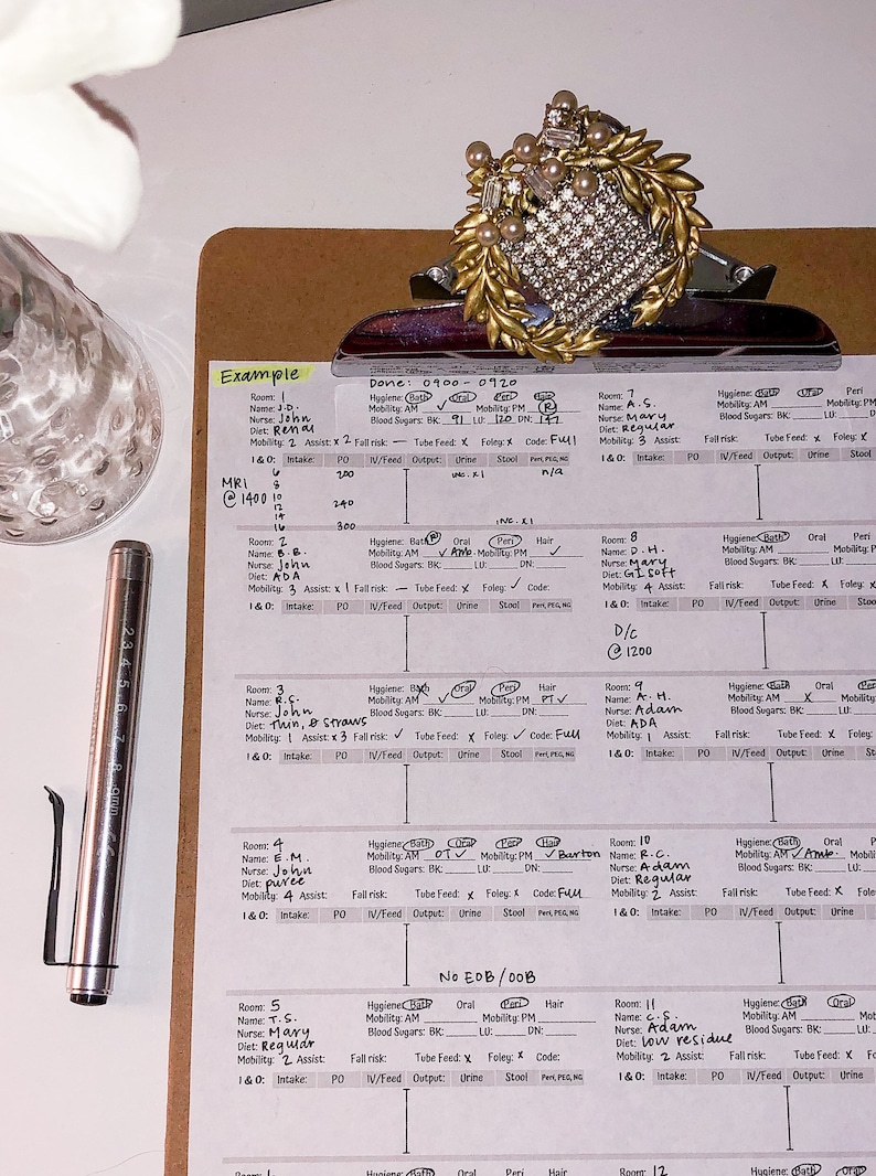 CNA Brain Sheet Report Organizer For Nurse Assistant Tech Etsy