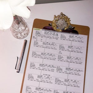 Può includere: Una clipboard con un grafico scritto a mano intitolato "Esempio" con informazioni sui pazienti, inclusi i numeri di stanza, i nomi e i dettagli medici. Il grafico è organizzato in una struttura ad albero con linee che collegano diversi record dei pazienti.