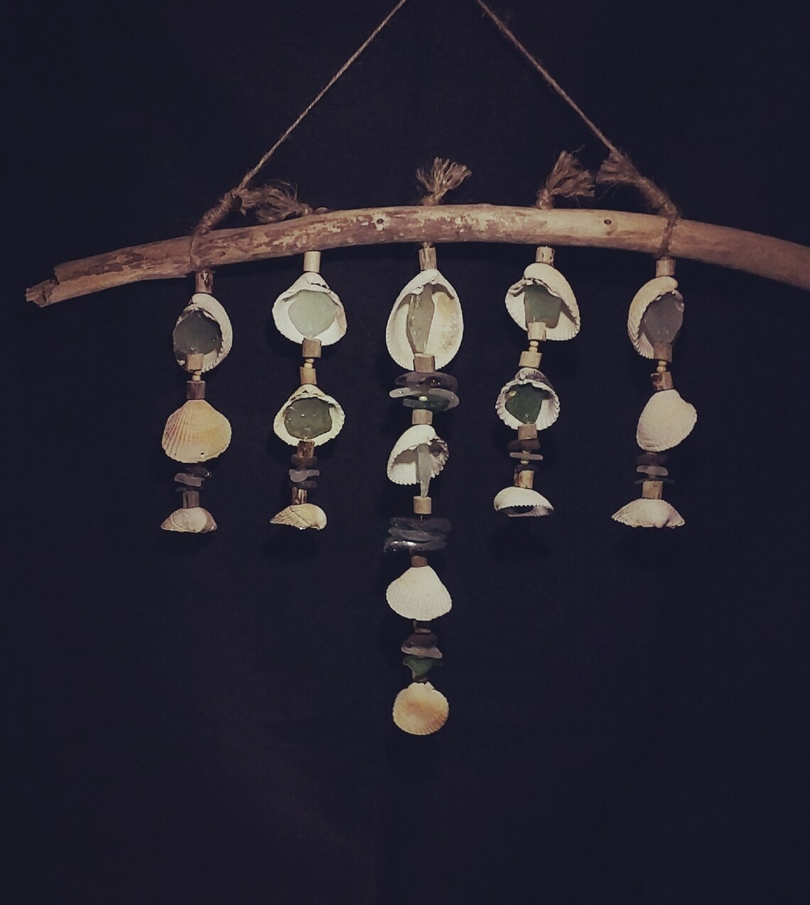 Silver Bells and Cockle Shells Sea Glass Cockleshell and Etsy