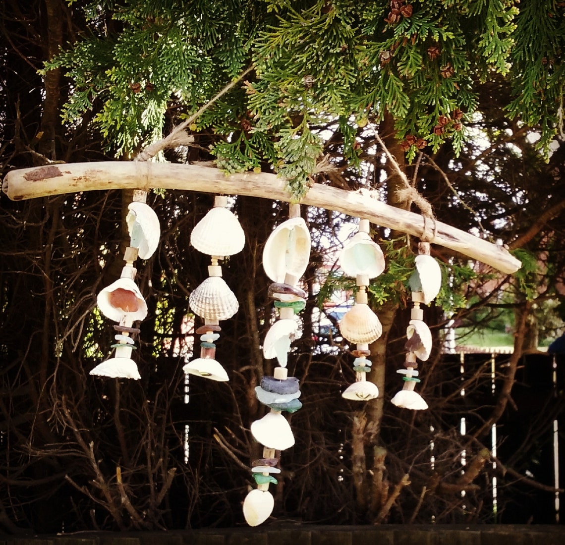 Silver Bells and Cockle Shells Sea Glass Cockleshell and Etsy