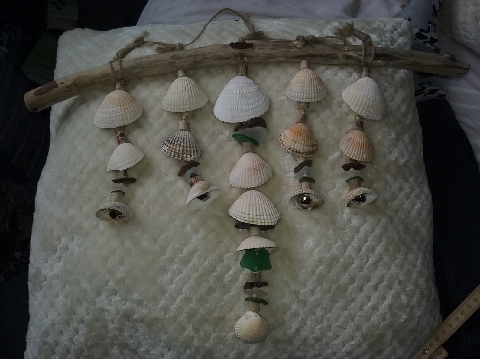 Silver Bells and Cockle Shells Sea Glass Cockleshell and Etsy