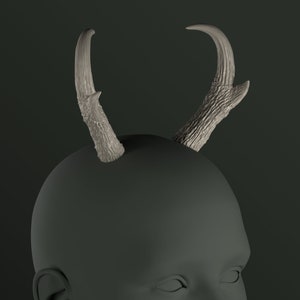 Digitaal 3D-model voor hoornhoorns | Salie: