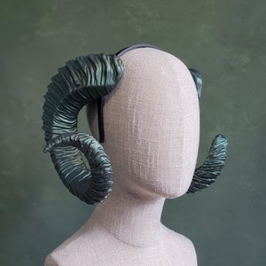 Cadence | Large Curled Ram Horns