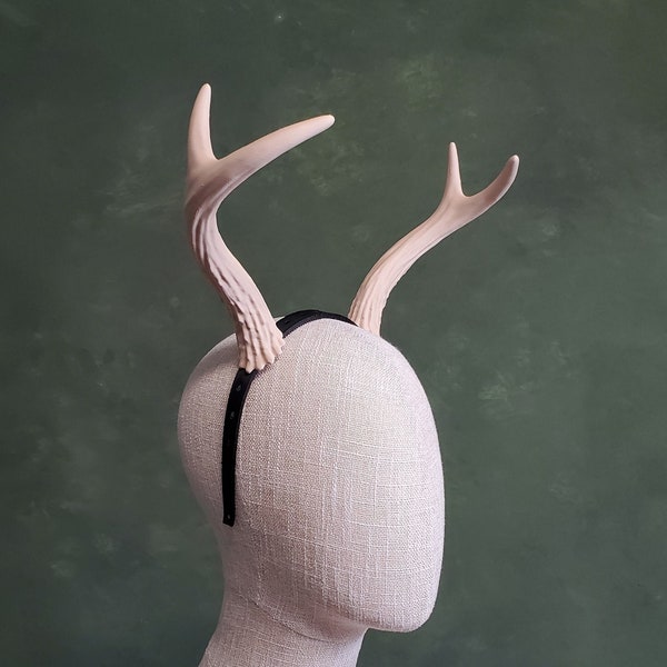 Bramble | Medium Two Tined Deer Antlers
