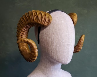 Cadence | Large Curled Ram Horns