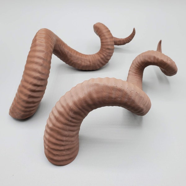 Bianca | Large Spiral Horns